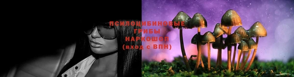 ГАЛЛЮЦИНОГЕННЫЕ ГРИБЫ Абинск
